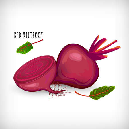 Whole, half red beetroot plant isolated on white background. Healthy diet vegetarian food. Salad ingredient in flat style. Lettering Red Beetroot. Vector illustration.のイラスト素材