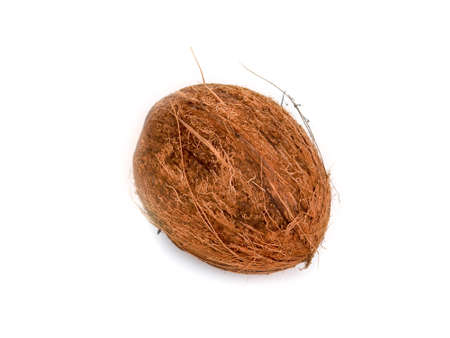 Coconut on white background as package design elementの写真素材