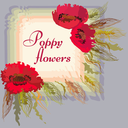 Vector frame with red poppy flowers and spike lets of wheat. Greeting cardのイラスト素材