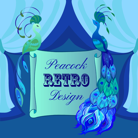Beautiful couple peacocks. Scroll card with text. Blue and green design. Vector illustration.のイラスト素材