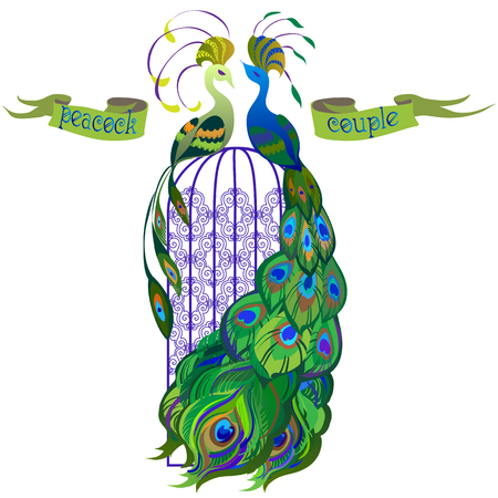Beautiful couple peacocks in the birdcage. Ribbon with text. Blue and green design. Isolated on white background. Vector illustration.のイラスト素材