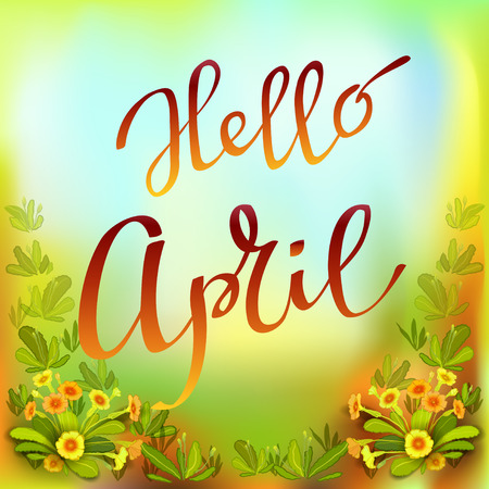 Hand drawn spring inspirational quote - hello April. Pen and ink calligraphy. Brush painted red letters on yellow green primroses background. Spring botanical greeting card. Vector illustration.のイラスト素材