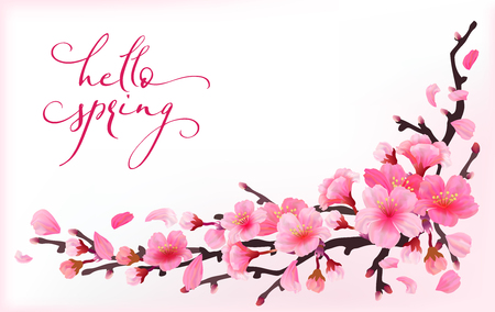 Realistic sakura japan cherry branchのイラスト素材