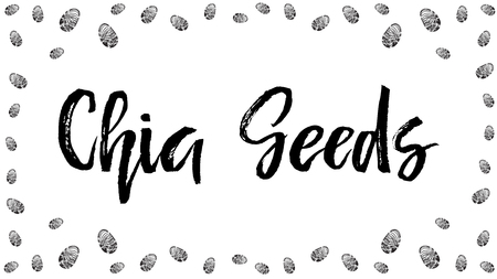 Chia seeds vector backgroundの写真素材