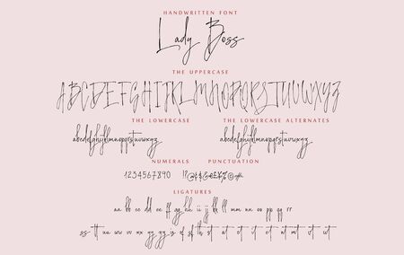 Handwritten script font vector alphabet Lady Boss setのイラスト素材