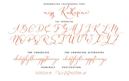 Hand drawn callygraphic font vector alphabet setのイラスト素材