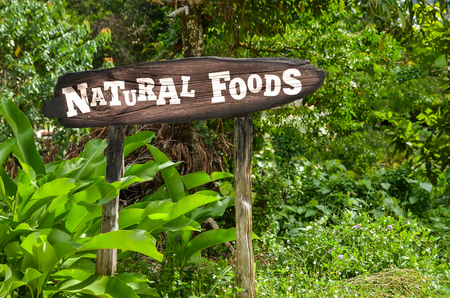 Natural Foods wooden sign on a background of green jungle. Aarrow, green palm treesの写真素材