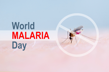 Stop, prohibit sign on mosquito bite human skin, Human blood in insect stomach. WORLD MALARIA DAY.の写真素材