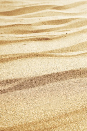 Sandy beach on a sunny day, background. Sand dunes, beige texture. Vertical Selective focusの写真素材