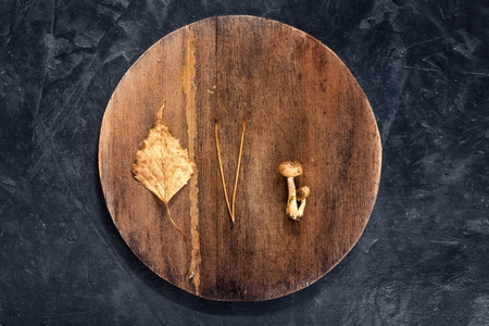 Composition of mushrooms, leaf and needles on a round wooden plaの写真素材