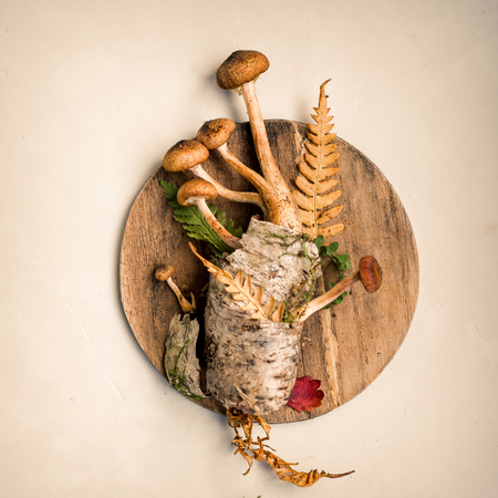 Fresh, raw mushrooms on a light background and a wooden round empty plate. Background. Concept minimalism Copy spaceの写真素材
