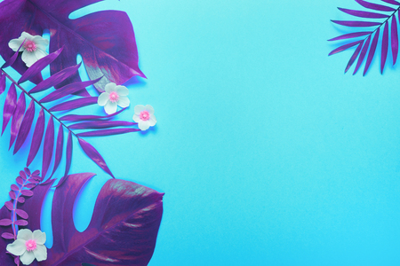 Tropical leaves Monstera and palm in vibrant bold gradient holographic colors. Concept art. Minimal surrealismの写真素材