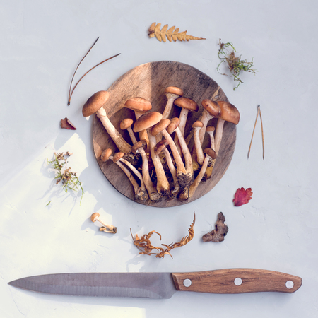 A lot of fresh, raw mushrooms on a wooden round plate with a knife. Light background. Top view Minimalismの写真素材