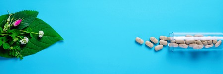 Natural vegetable pills, additive, green leaf and bottle. The concept of natural and plant health....