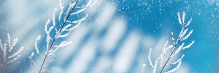 Beautiful blue blurred winter background.