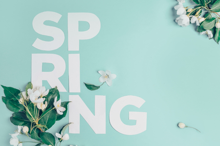 Creative layout with blooming apple tree on a blue background. Flat lay. Concept - spring minimalism