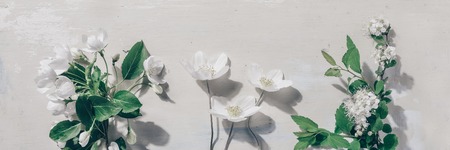 Creative layout with blooming apple tree on vintage background. Flat lay Concept - spring minimalismの写真素材