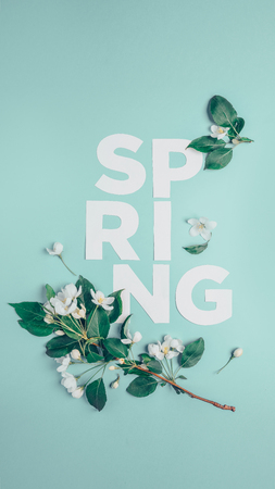 Creative layout with blooming apple tree on a blue background. Flat lay. Concept - spring minimalismの写真素材