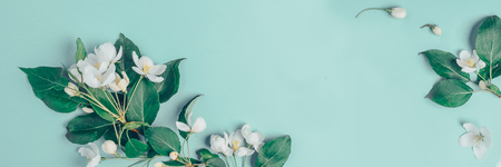 Creative layout with blooming apple tree on a blue background. Flat lay. Concept - spring minimalismの写真素材