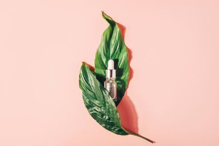 Bottle with natural serum with vitamins on a pink background. Cosmetic procedures for the faceの写真素材