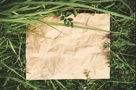 Creative background from craft paper in green natural grass. Concept of ecological products, natureの写真素材