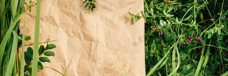 Craft paper in green natural grass. Concept of ecological products nature Bannerの写真素材