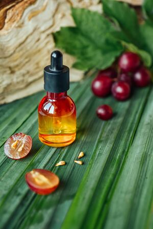 Grape seed oil. Still life of bottle with oil, and grape seed on the natural background. Copy spaceの写真素材