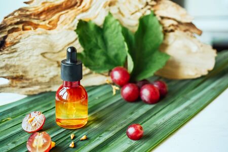 Grape seed oil. Still life of bottle with oil, and grape seed on the natural background.の写真素材