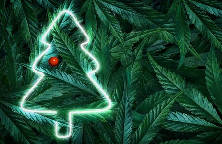 Creative fluorescent Christmas background mockup of hemp leaves, marijuana and Christmas tree neon sign. Flat layの写真素材
