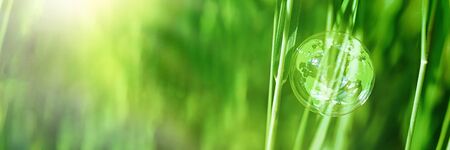 Soap ball, globe in the grass concept for environment and conservation Banner