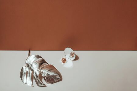 Silver leaf monstera, vase and decor on a light background. Flat lay. Abstract fashion background, minimalism.の写真素材