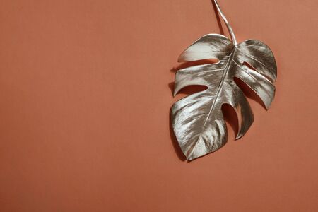 Shiny silver leaf monstera on terracotta background. Trendy design. Pastel Minimalism. Copy space Close-up. Tropical decor concept for modern design.の写真素材