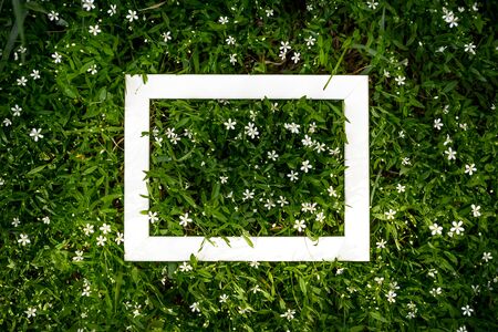 Creative green floral background of natural leaves and meadow grass with white frame copy spaceの写真素材