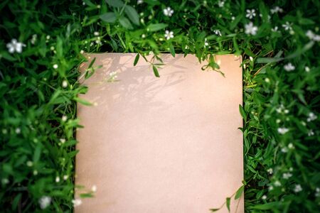Creative green floral background of natural leaves and meadow grass. Kraft paper frame.