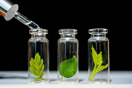 Glass bottles, test tubes with plant sprouts on black backgroundNatural skin care, organic cosmetics and food. Concept of alternative medicineの写真素材