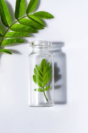 Bottle with herbs for natural essential oils and organic cosmetics on the white background. Concept of an eco laboratory for the production of natural products, supplement, cosmeticsの写真素材