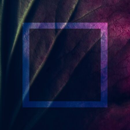 Creative fluorescent color layout made of leaf texture closeup. Flat lay neon colors. Nature...
