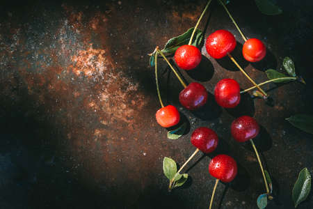 Ripe cherries with dew drops on a dark background in the rays of morning light. Cottagecore Aesthetics concept. Rustic, vintage style Juicy summer concepの写真素材