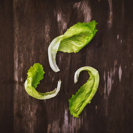 Pattern from fresh Lettuce leaveson a wooden dark table. Batavia salad. Authentic still life with...