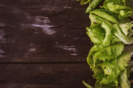 Pattern from fresh Lettuce leaveson a wooden dark table. Batavia salad. Authentic still life with...