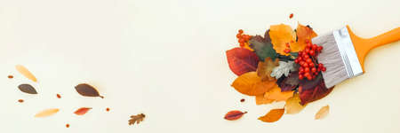 Brush paint with colorful autumn leaves, creative concept of autumn and leaf fall Bannerの写真素材