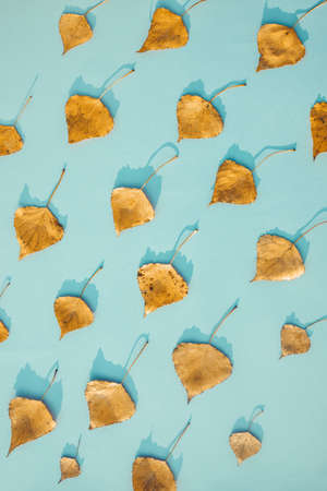 A pattern of golden autumn leaves on a blue background, the image of falling leaves and rainの写真素材