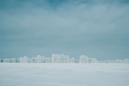 Winter landscape with trees in white hoarfrost, frosty fabulous view, Merry Christmasの写真素材