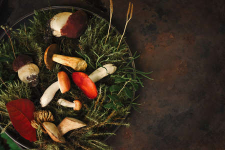 Fresh forest mushrooms on fresh moss on a round plate on dark backgroundの写真素材