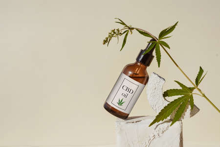 CBD oil in brown bottle with dropper and cannabis branch, hemp on podium Beige backgroundの写真素材