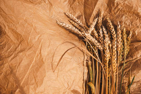 Bunch of ripe golden wheat on craft paper backgroundの写真素材