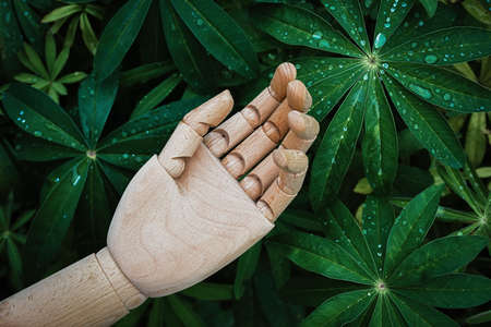 Wooden hand reaches up against background of natural green plantsの写真素材