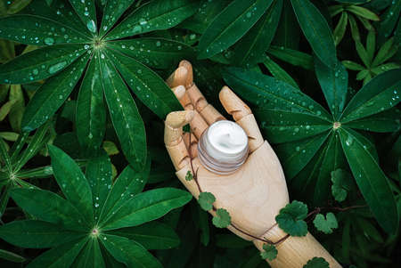 Natural cosmetics, cream on, podium from wooden hand, green plants