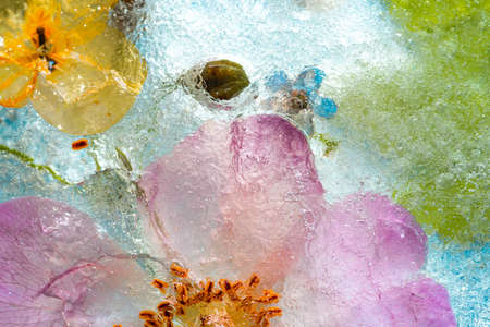 Colorful background of summer flowers and roses in frozen water with bubbles