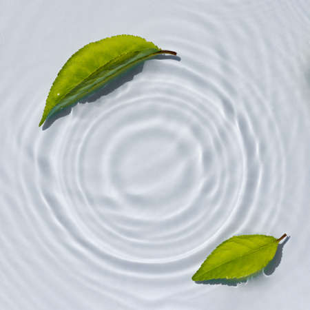 Water texture, clear water surface with rings and ripples and green leaves